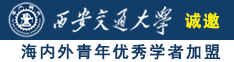 炒女生逼逼网址诚邀海内外青年优秀学者加盟西安交通大学